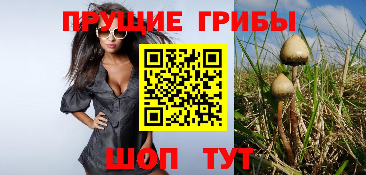Псилоцибиновые грибы мухоморы Волжск